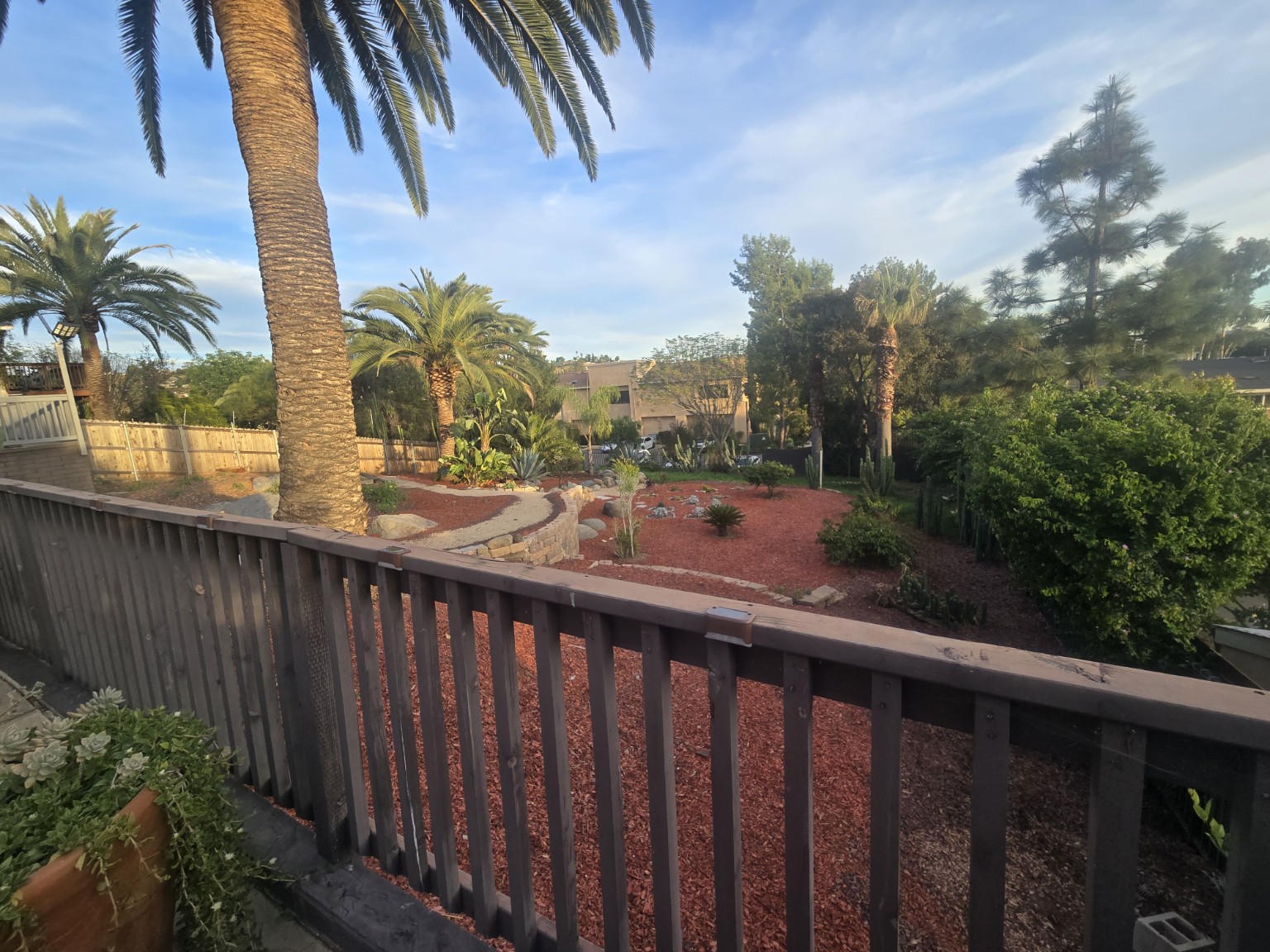 Safe yard and outdoor space at Escondido Pet Care