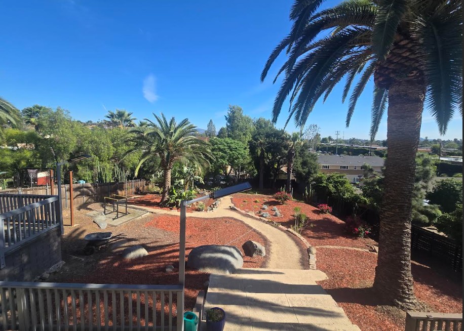 Spacious and safe backyard for dogs